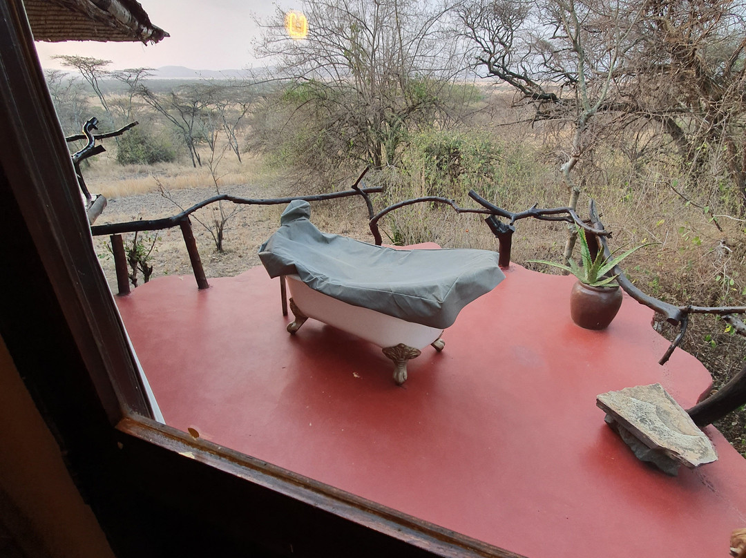 Mbalageti Safari Camp主图