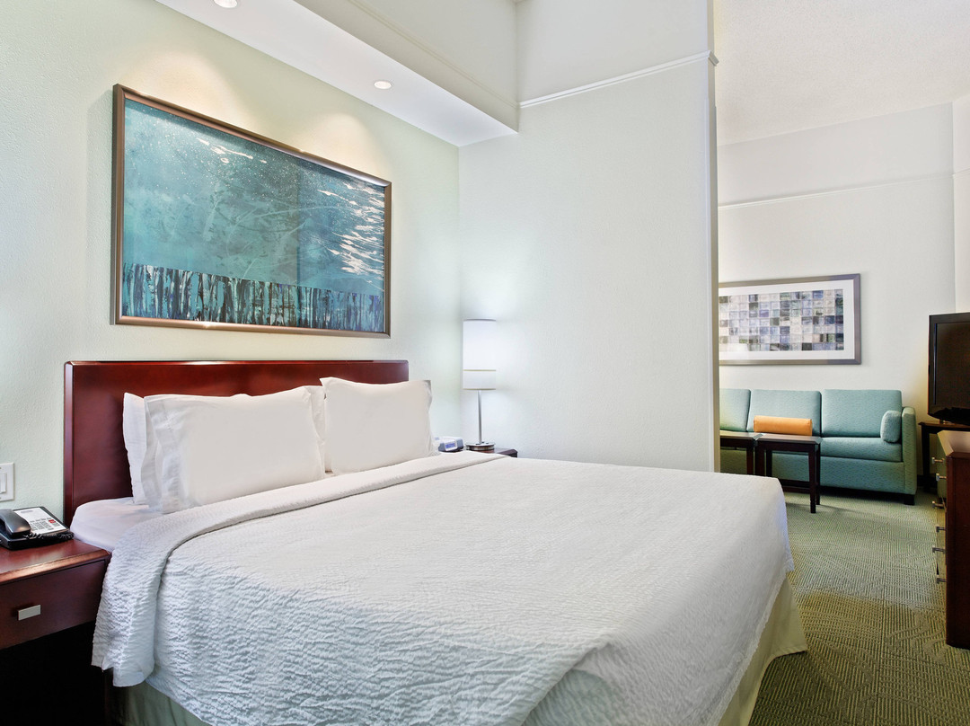 SpringHill Suites by Marriott Knoxville at Turkey Creek主图