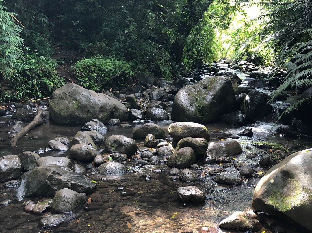 Maunawili Falls-科纳必去景点