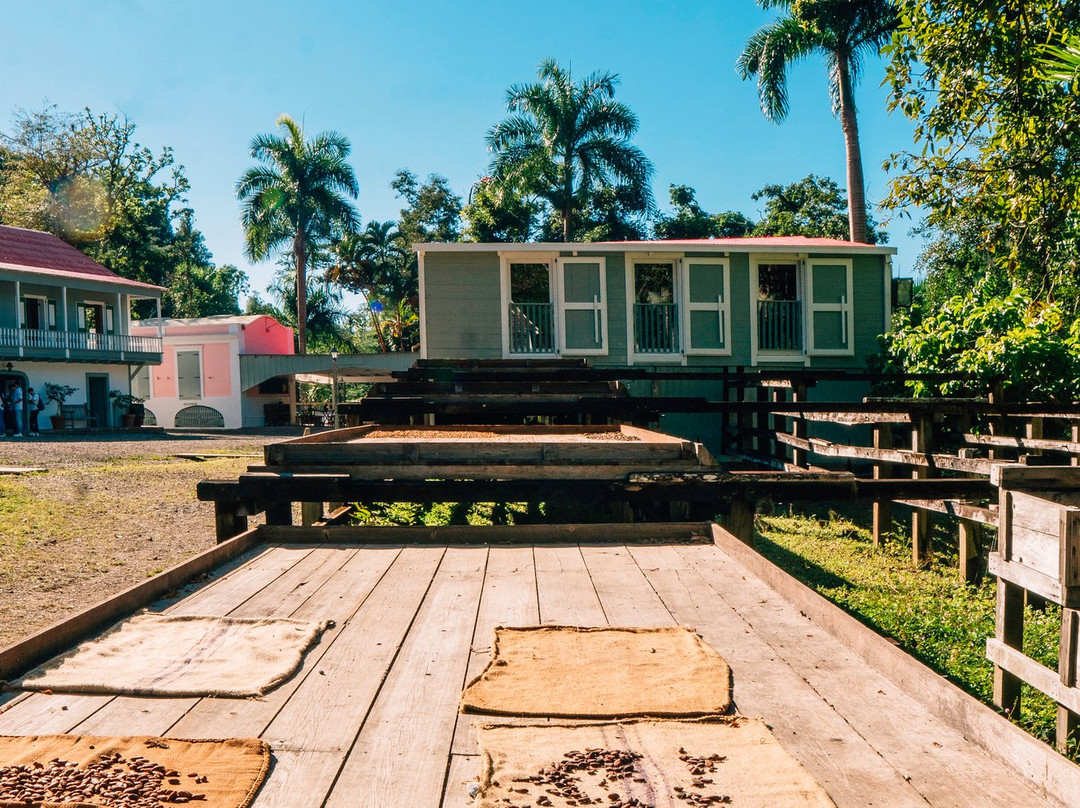 Hacienda Buena Vista-庞塞必去景点
