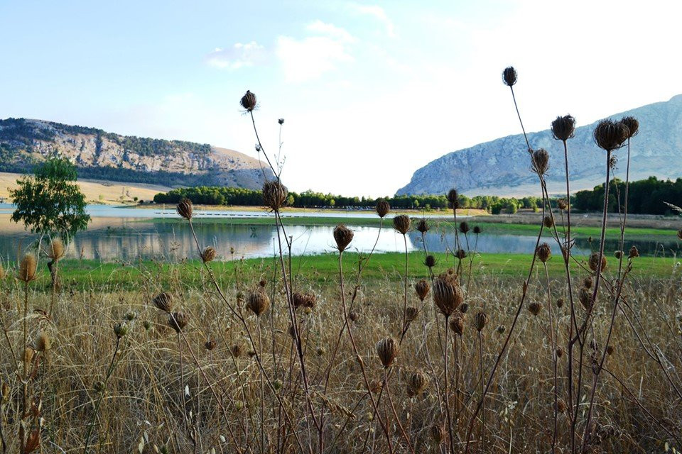 Lago di Piana degli Albanesi景点图片