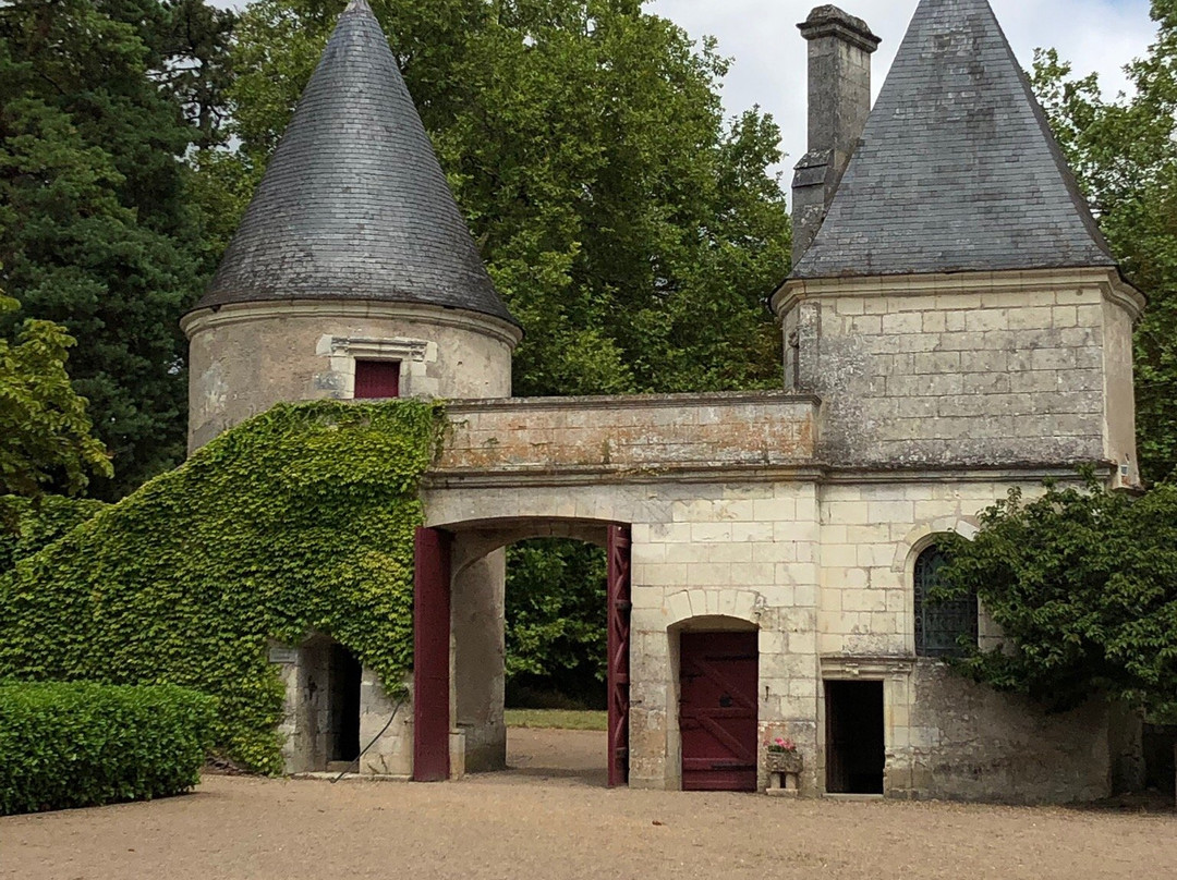 Chateau de Nitray景点图片