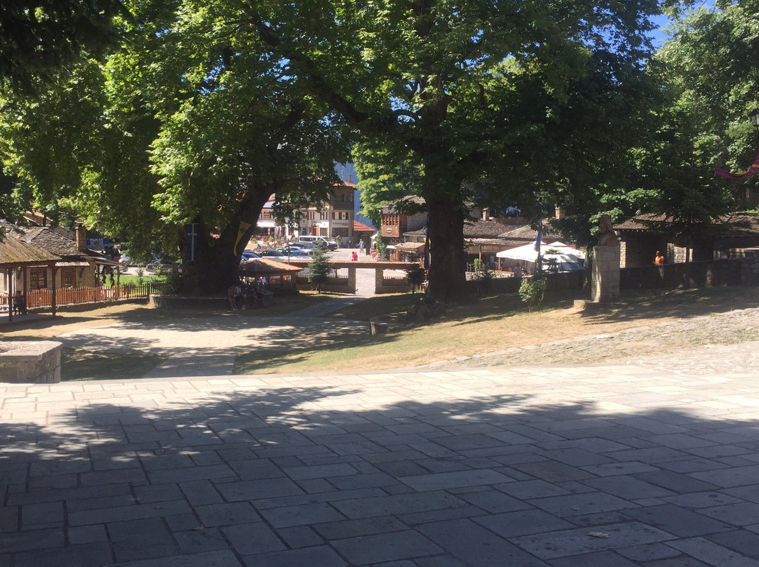 Metsovo Central Square景点图片