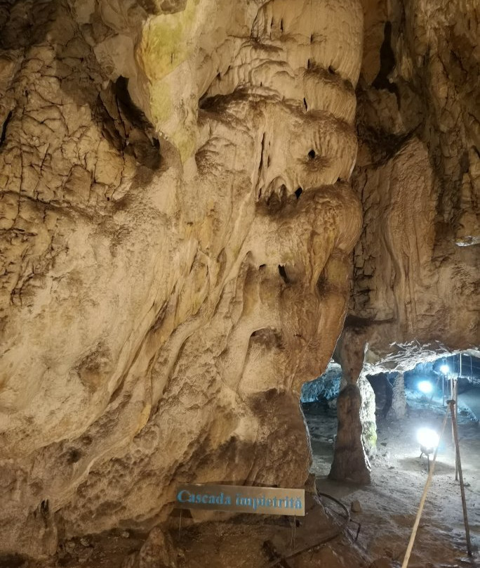The Women's Cave ( Pestera Muierii )景点图片