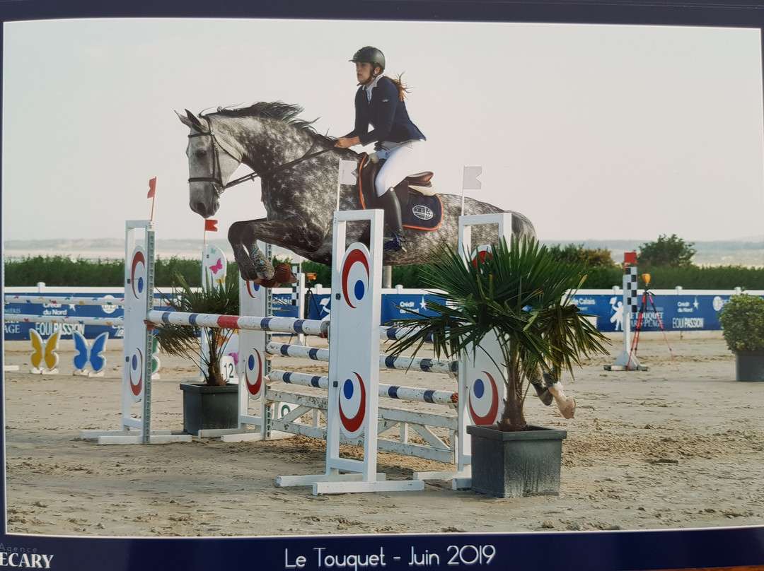 Equestrian Center Touquet Paris-Plage景点图片