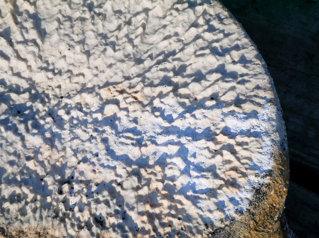 Wool Gallery Vík í Mýrdal景点图片