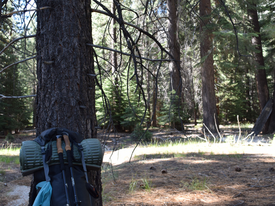 Yosemite Mountaineering School景点图片