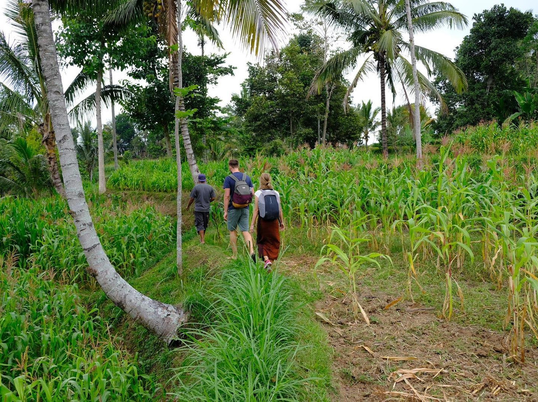 Lombok Trip-龙目岛必去景点