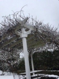 La Petite Maison主图