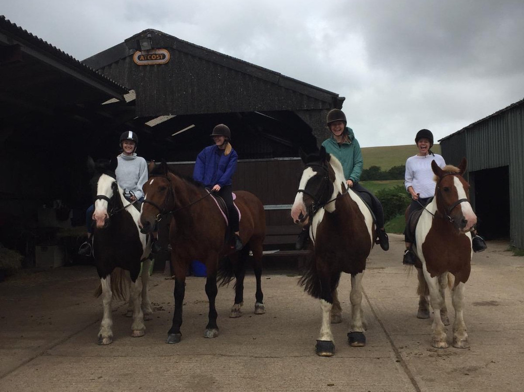 Three Greys Riding School景点图片