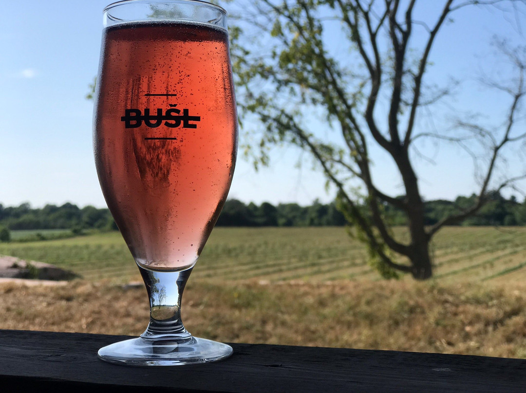 BUSL Cider景点图片
