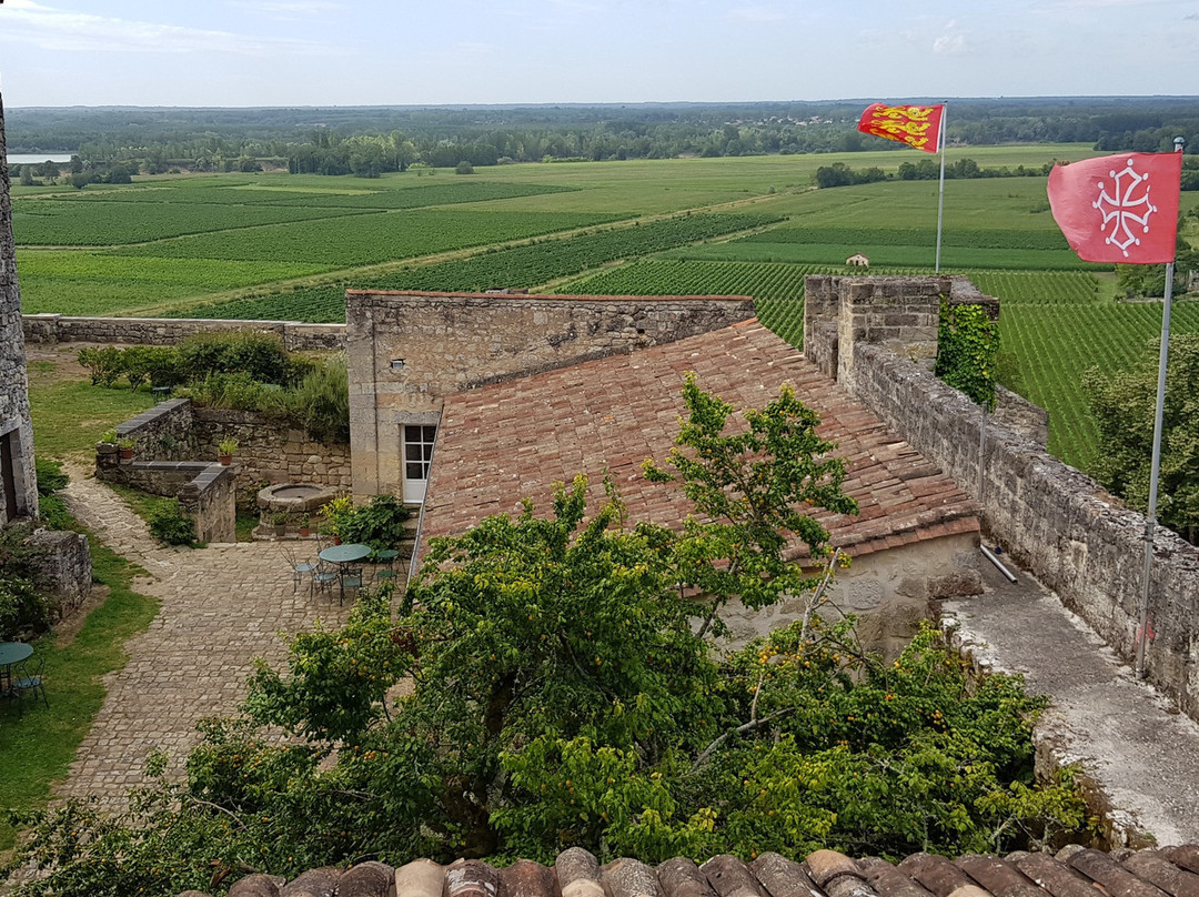 Château de Langoiran景点图片