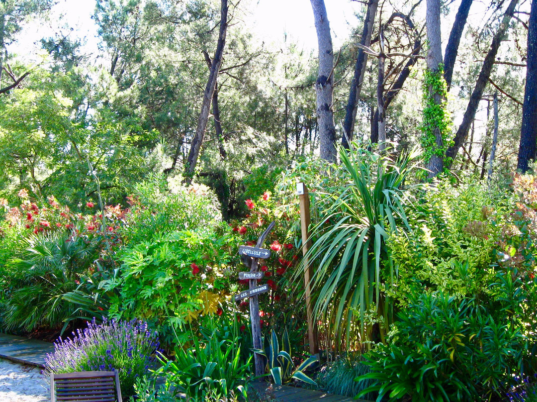 Au Jardin des Libellules主图