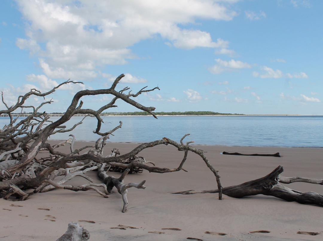 Big Talbot Island State Park景点图片