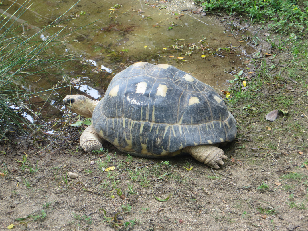 Zoo de Lyon景点图片