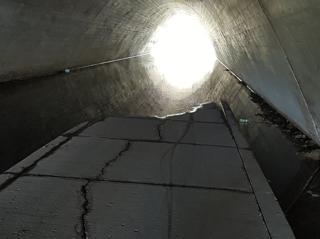 Medicine Hat Visitor Centre-梅迪辛哈特必去景点