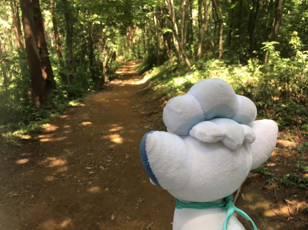 Tonosu Mountain-饭能市必去景点