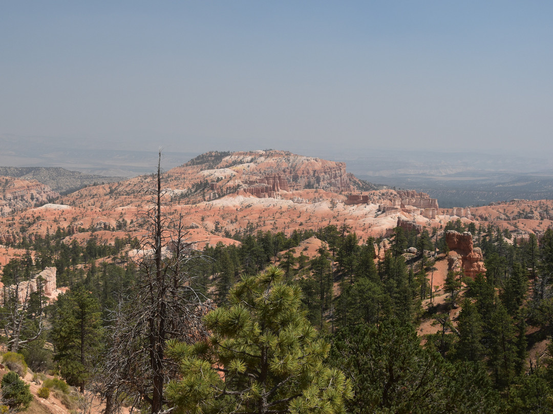 Rim Trail景点图片