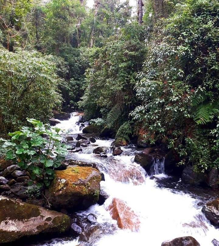 Sendero Los Quetzales景点图片