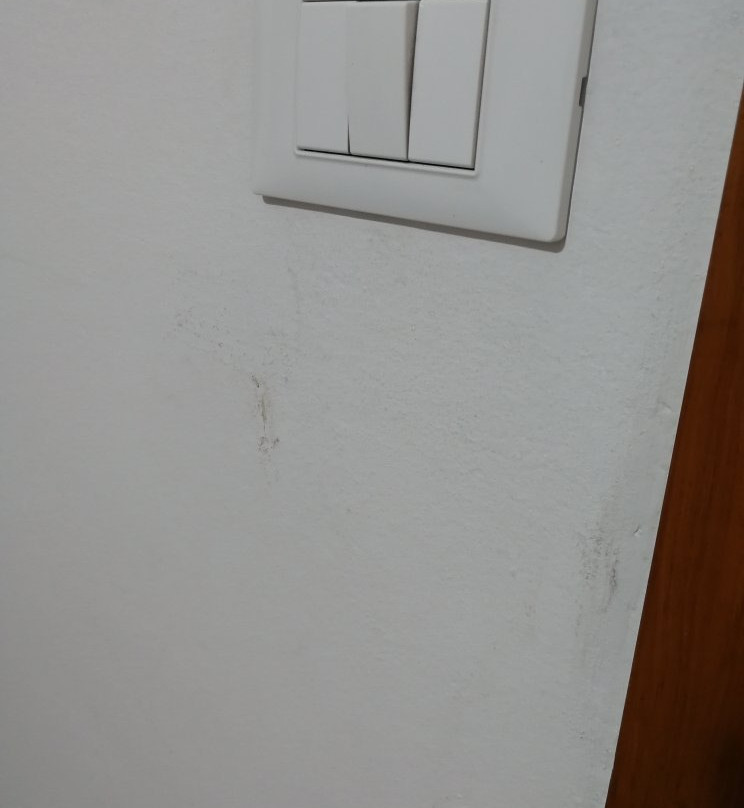 B&B Casa Patavina主图