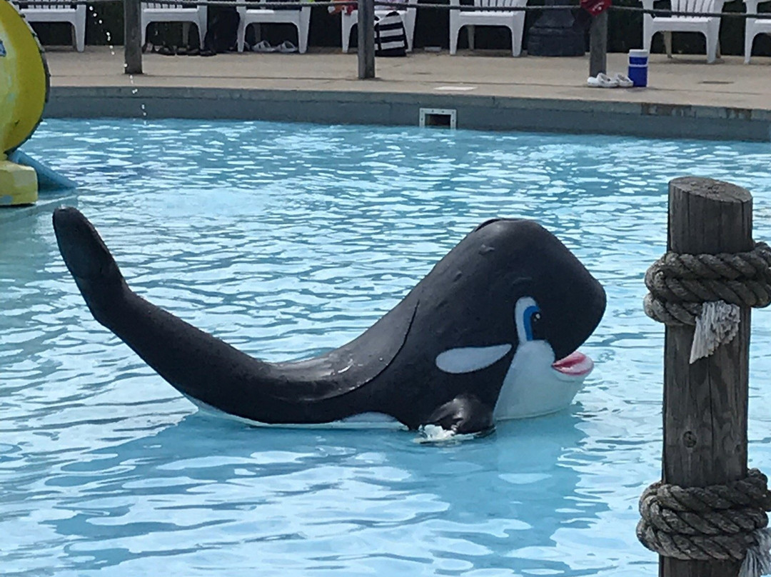 Knight's Action Park & Caribbean Water Adventure-斯普林菲尔德必去景点