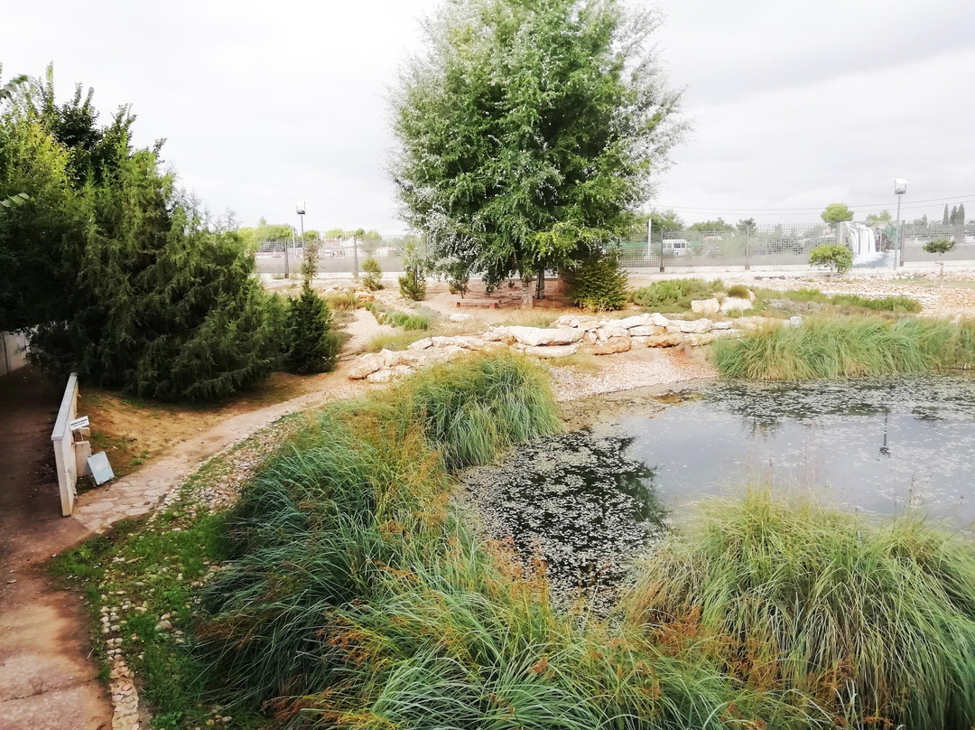 Jardin Botanico de Castilla-La Mancha景点图片