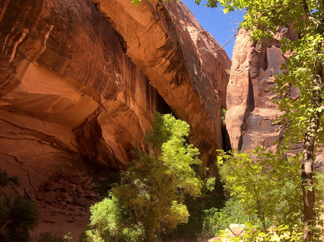 Grandstaff Canyon Trail景点图片