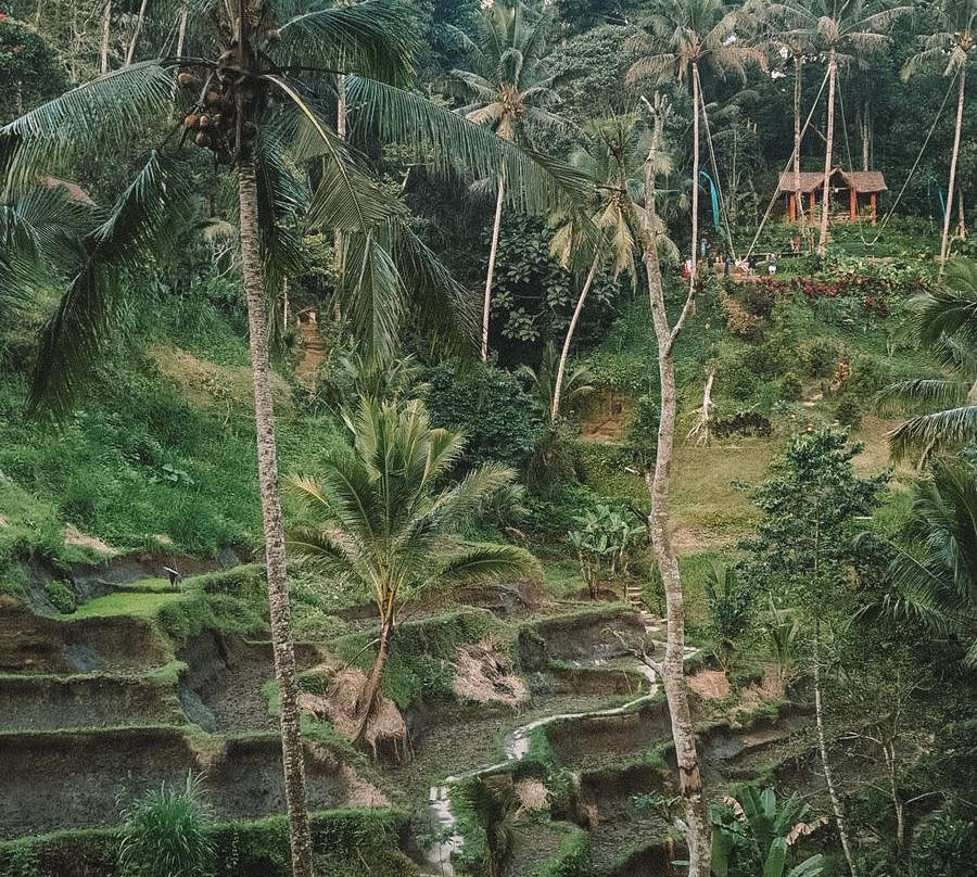 Bali Purana景点图片