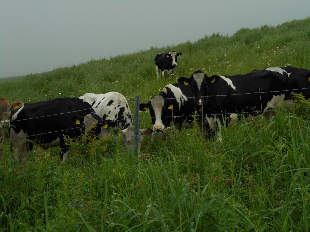 Nupukano Sato-士幌町必去景点
