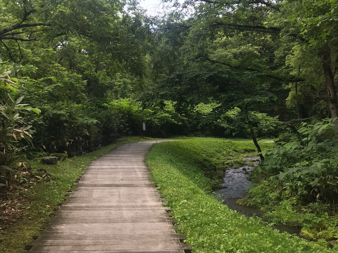 Taisetsu Asahidake Gensui-东川町必去景点