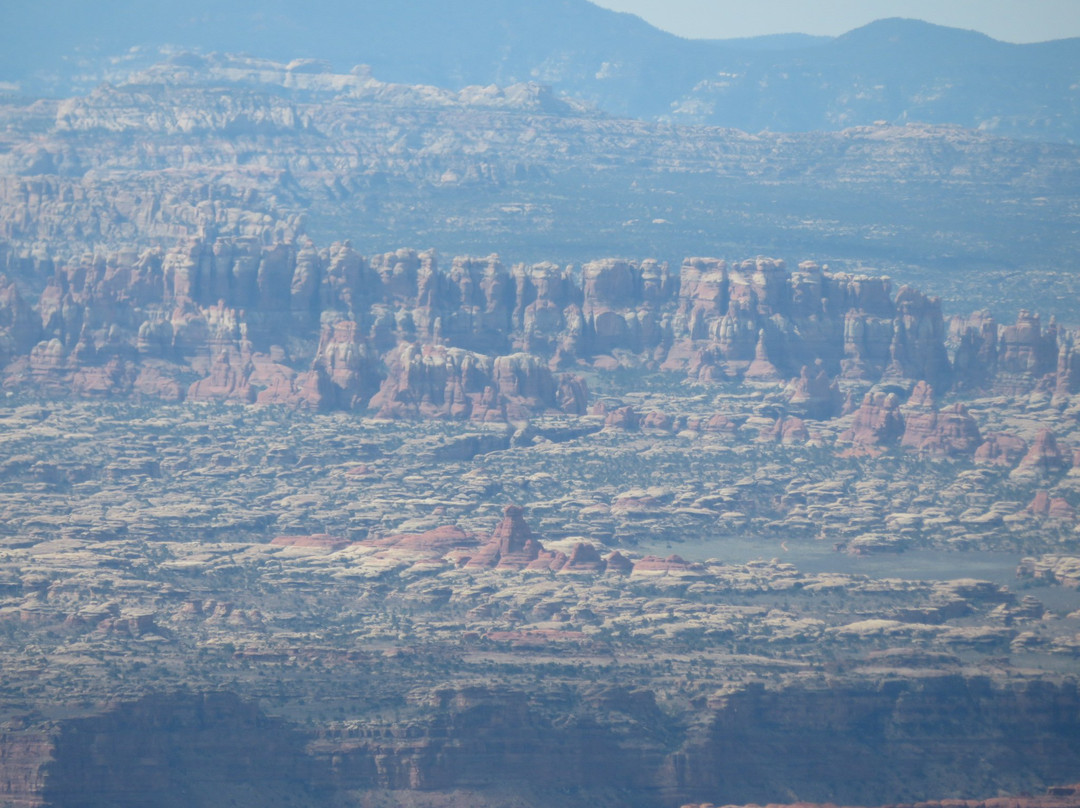 White Rim Overlook Trail景点图片