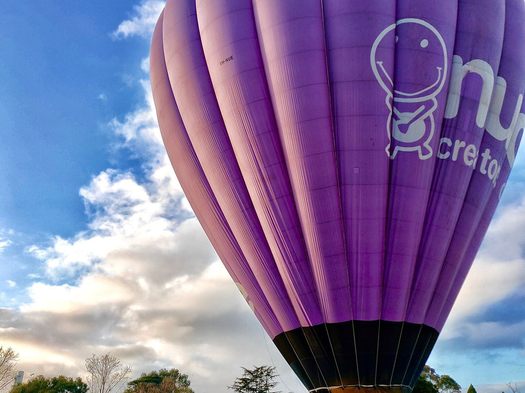 梦幻热气球之旅——墨尔本&雅拉河谷景点图片