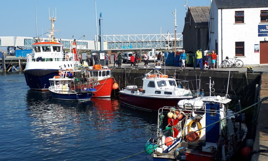 Stromness Marina景点图片