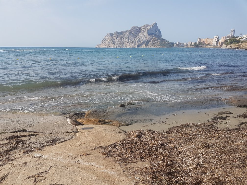 Sendero Voramar - Calalga o Bassetes景点图片