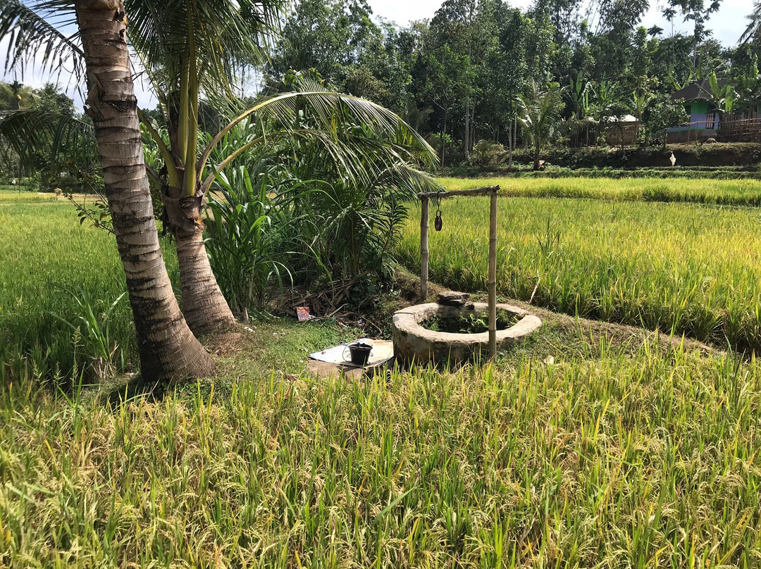 Mas-Mas Tourism Village-Mas-mas必去景点