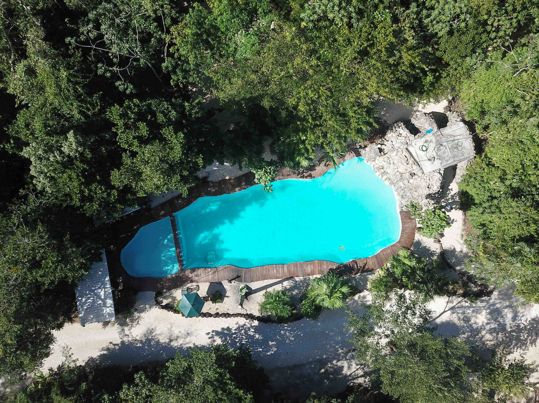 Jolie Jungle Eco Hotel主图