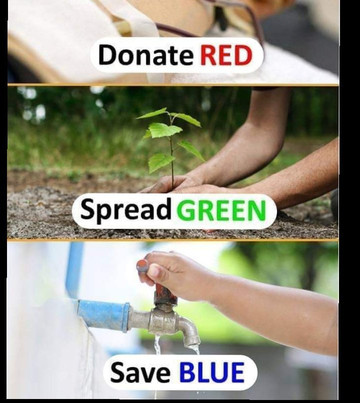 The Sportsman Bar-加兰古特必去景点