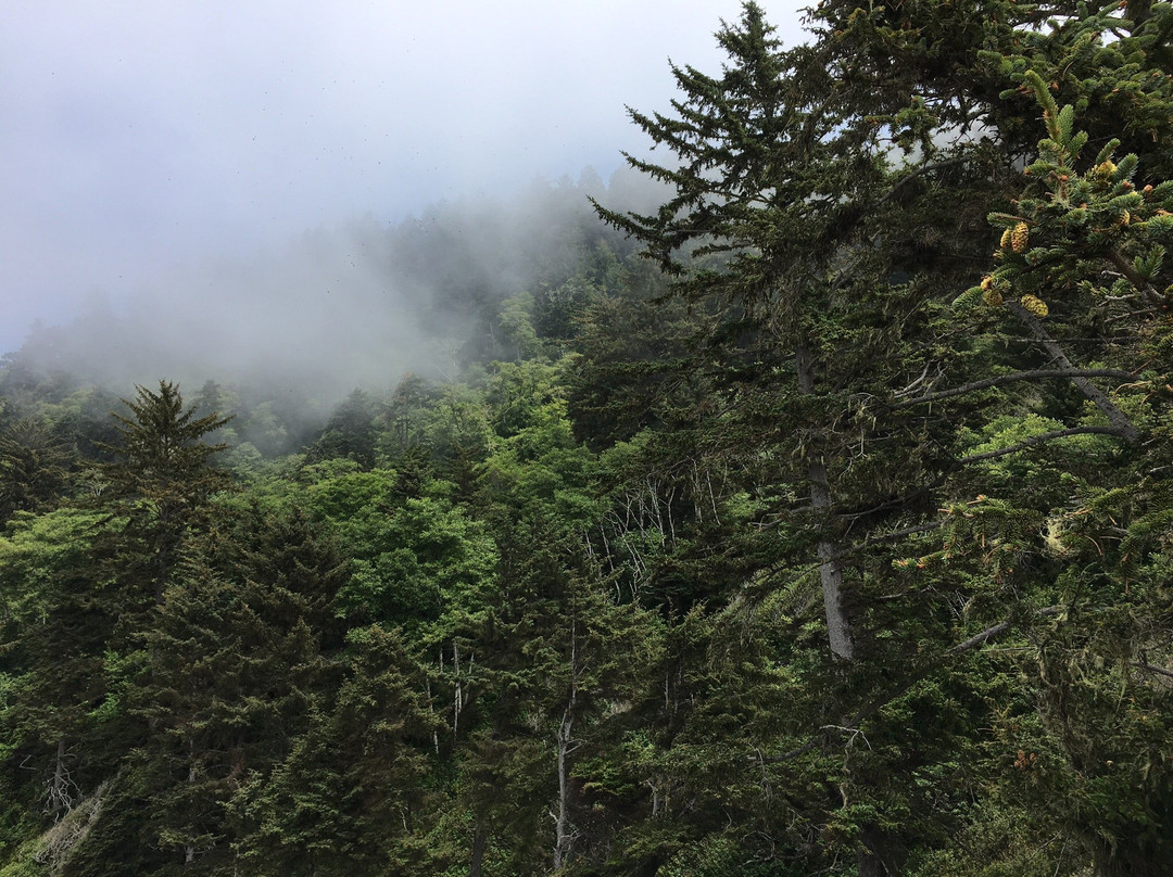 Crescent Beach Overlook景点图片