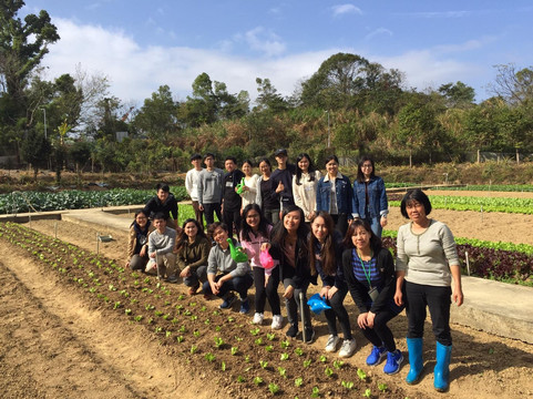 Goharvest Travel Ltd-香港必去景点