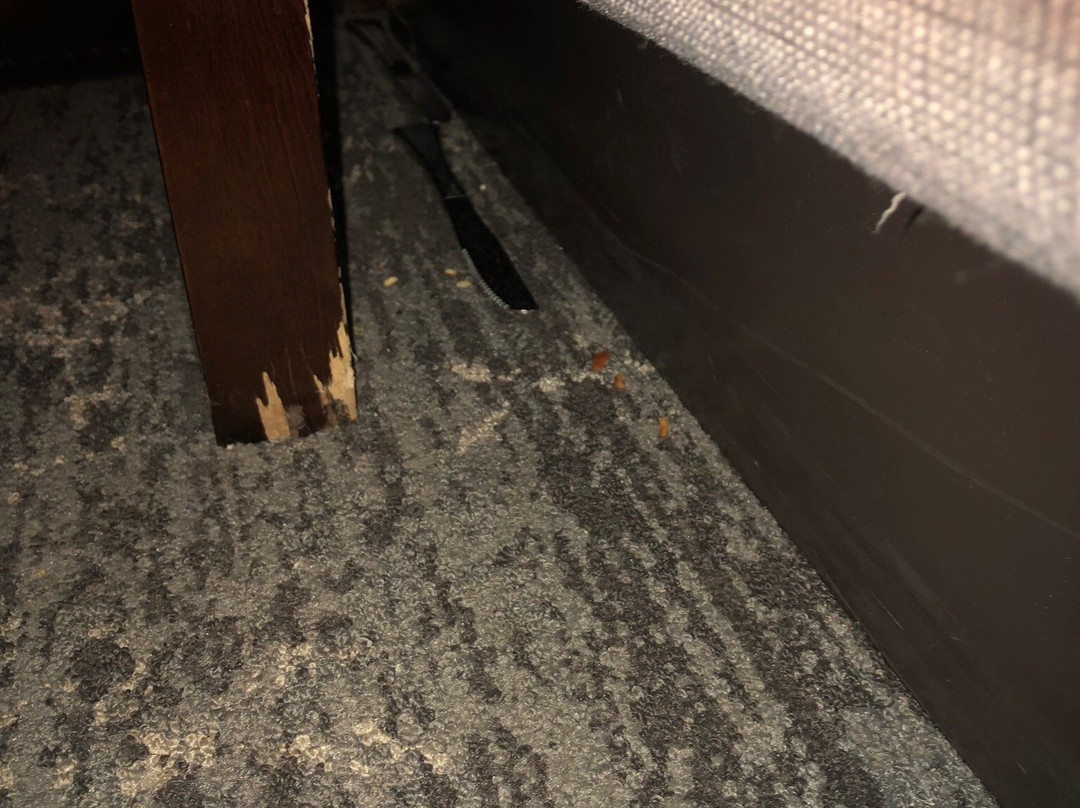 Silver Reef Casino Resort主图