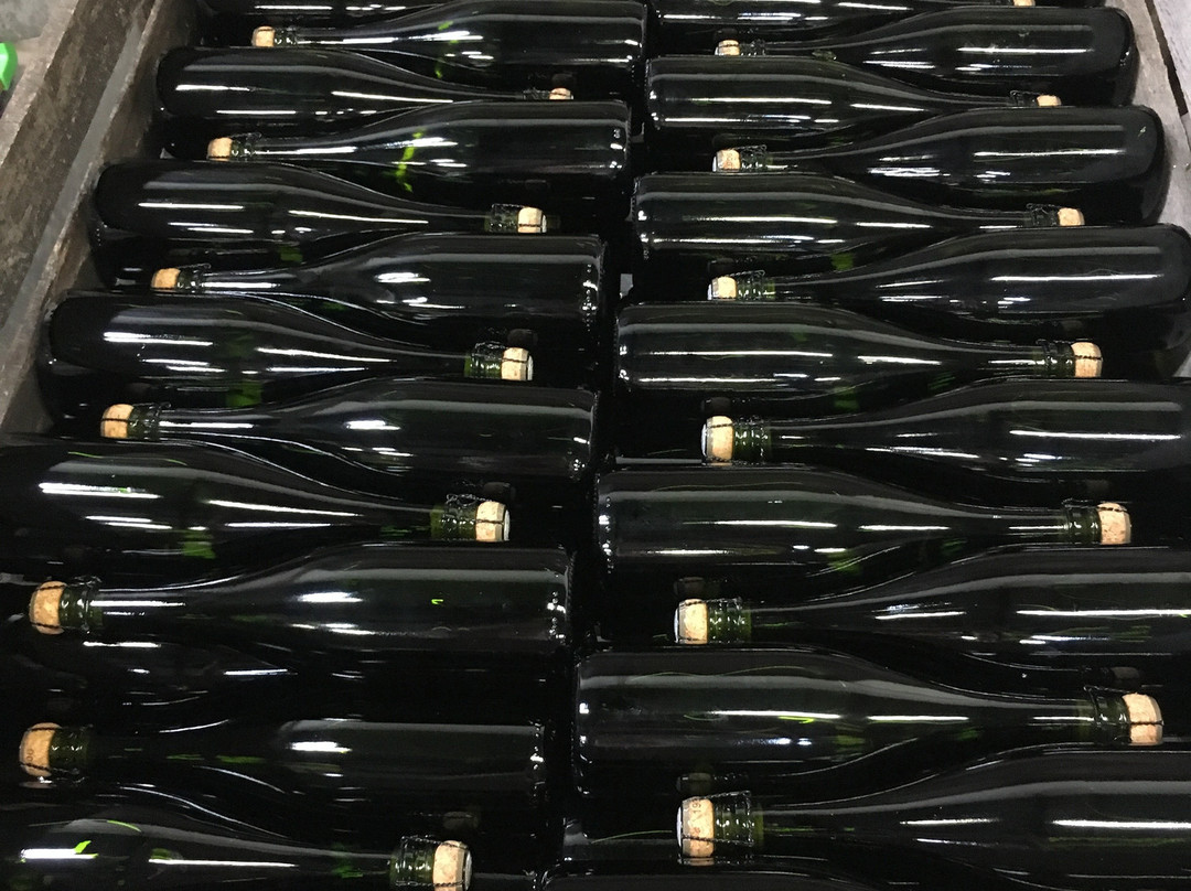 Champagne Joseph Desruets景点图片