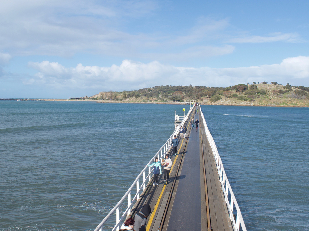 Victor Harbor Horse Drawn Tram-维克多港必去景点