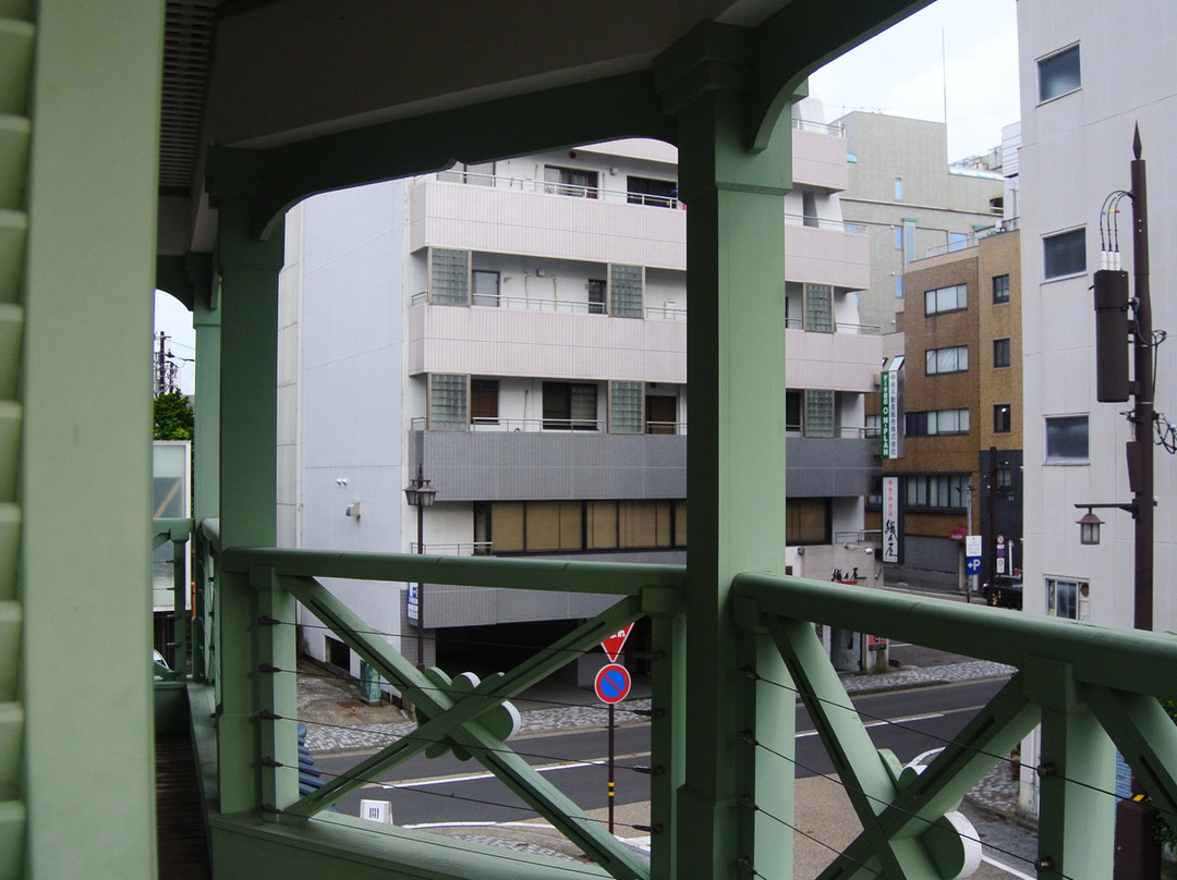 Fukui City Griffis Museum景点图片