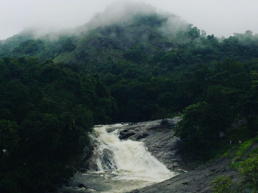 Adyanpara Waterfalls景点图片