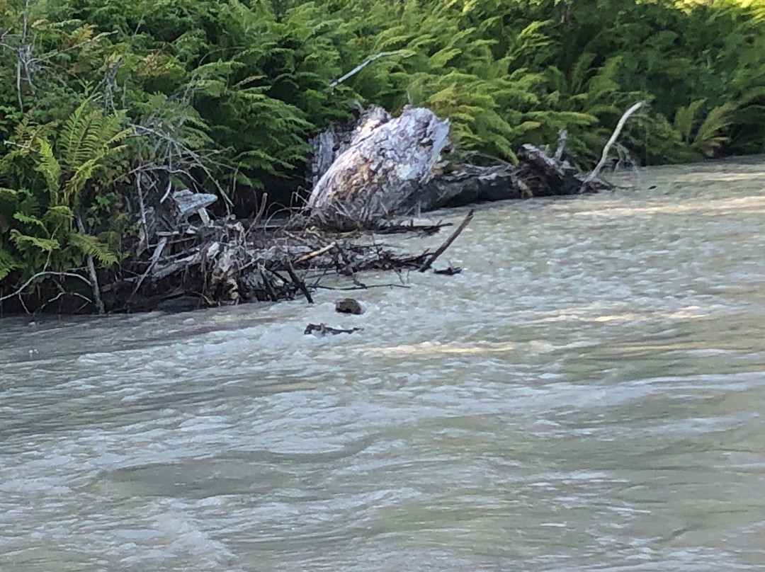 Talkeetna River Guides - Day Trips景点图片