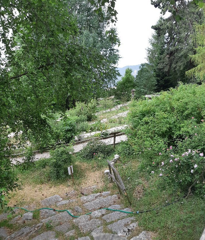 Orto Botanico di Novezzina景点图片