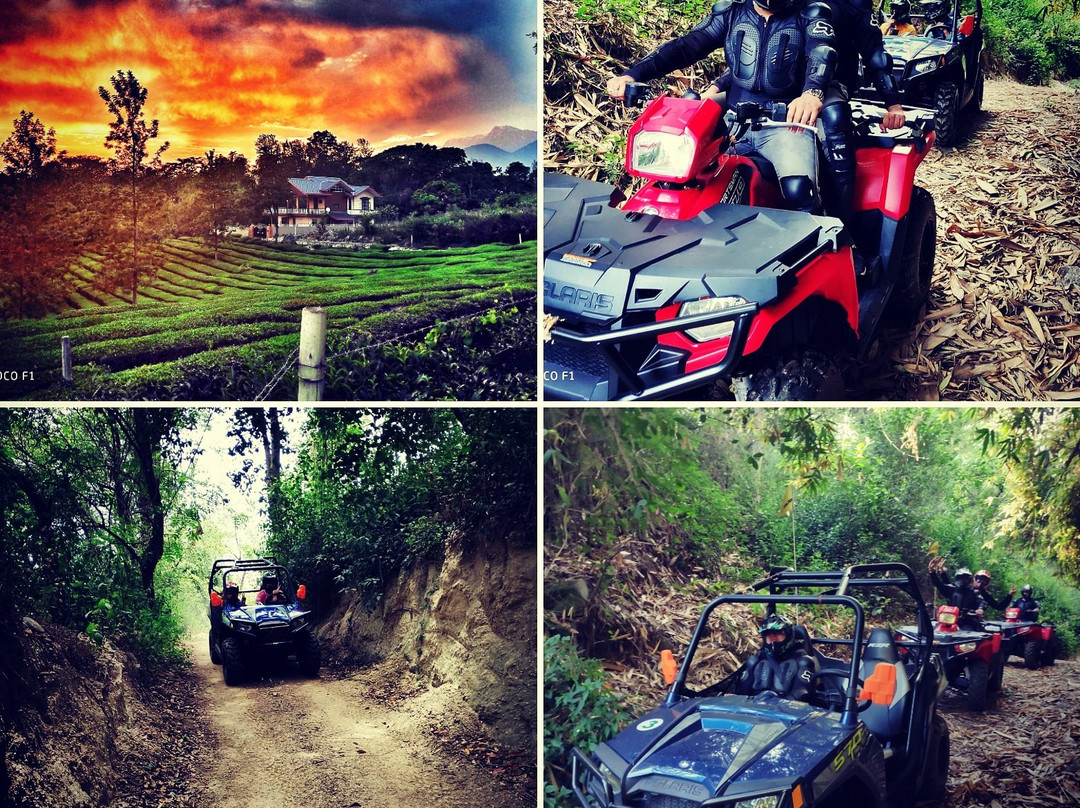 Himalayan Adrenaline-Palampur必去景点