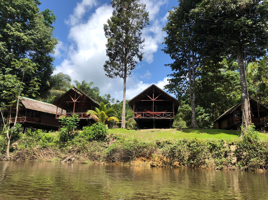 Awarradam Jungle Lodge主图