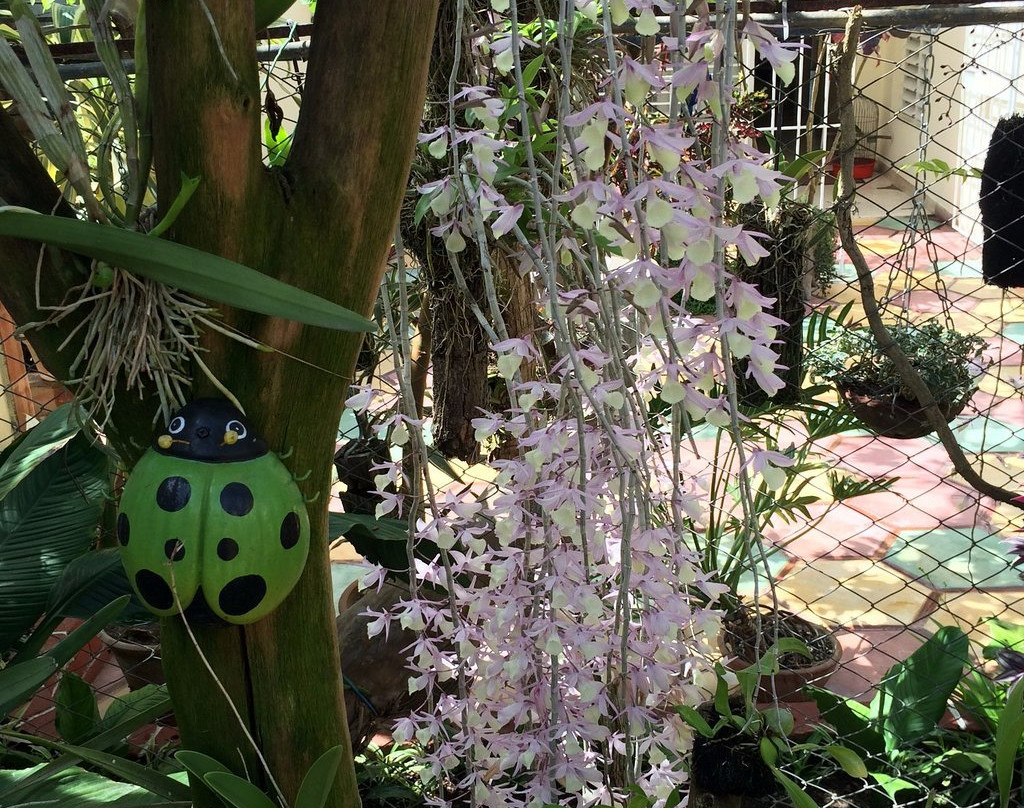 Hostal Los Torralbo主图