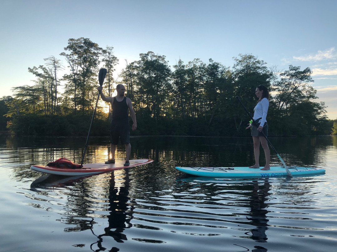 Sea Turtle SUP-Coventry必去景点
